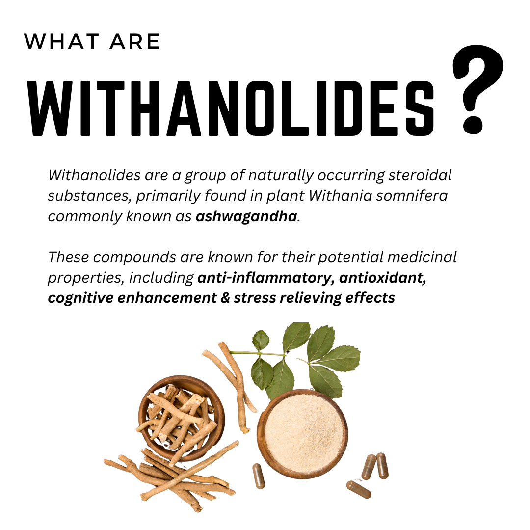 Ashwagandha 2.5% capsule