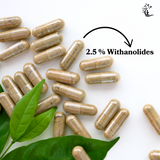 Ashwagandha 2.5% capsule