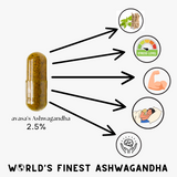 Ashwagandha 2.5% capsule
